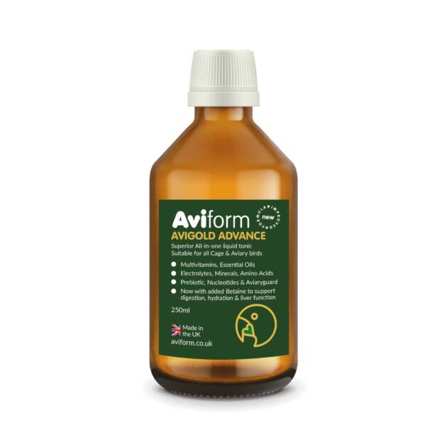 AVIGOLD ADVANCE