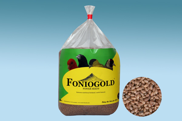 FONIOGOLD
