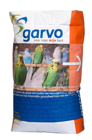 BUDGIE EXTRA