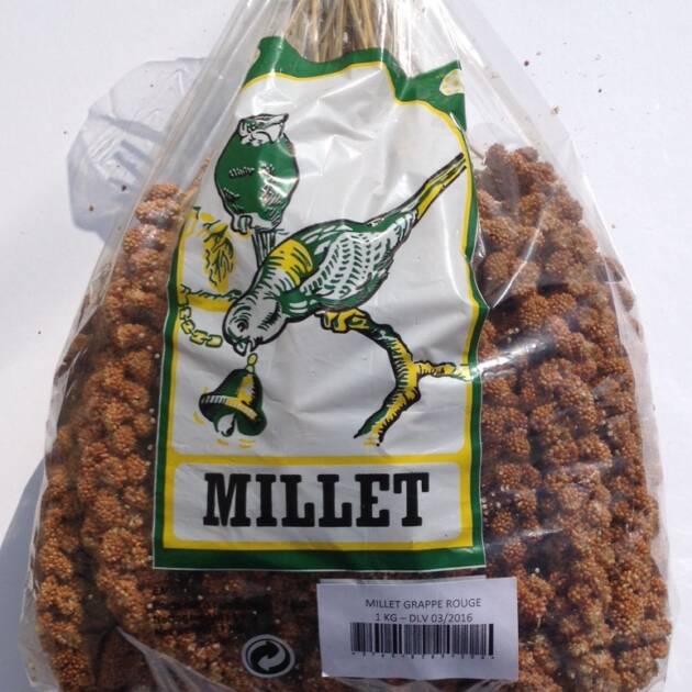 MOREAU RED MILLET SPRAYS
