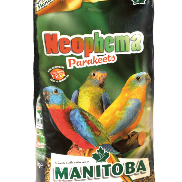 NEOPHEMA PARAKEETS + NectarManitoba