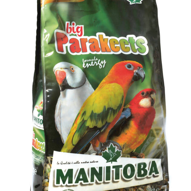 BIG PARAKEETS ENERGY + NectarManitoba