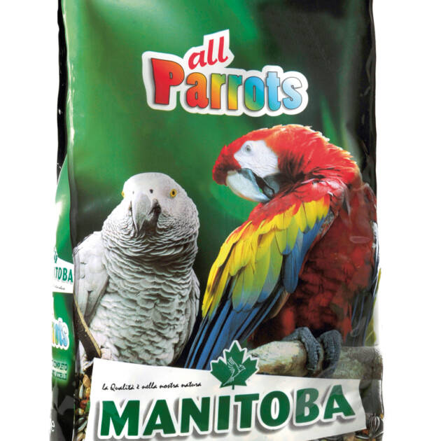 ALL PARROTS