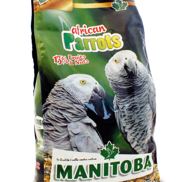AFRICAN PARROTS + NectarManitoba