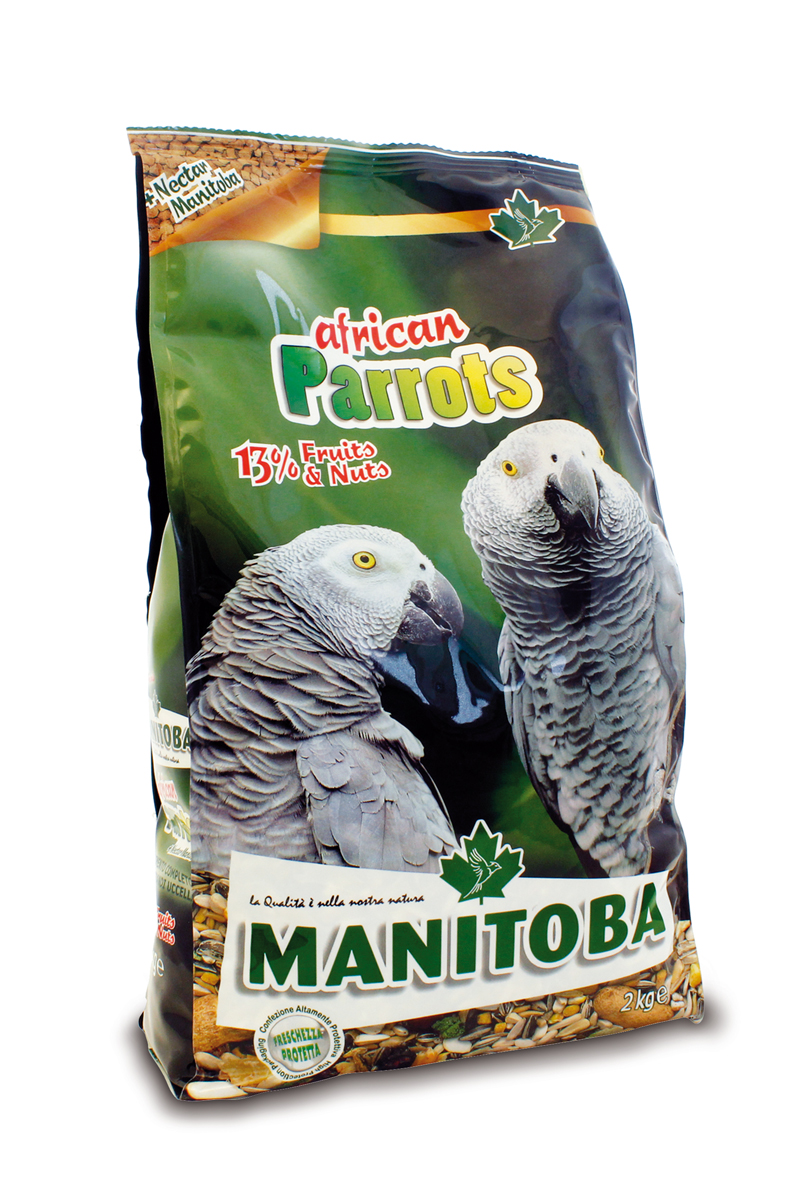 AFRICAN PARROTS + NectarManitoba