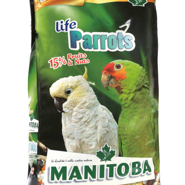 LIFE PARROTS + NectarManitoba