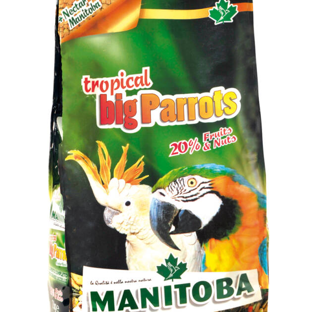 TROPICAL BIG PARROTS + NectarManitoba