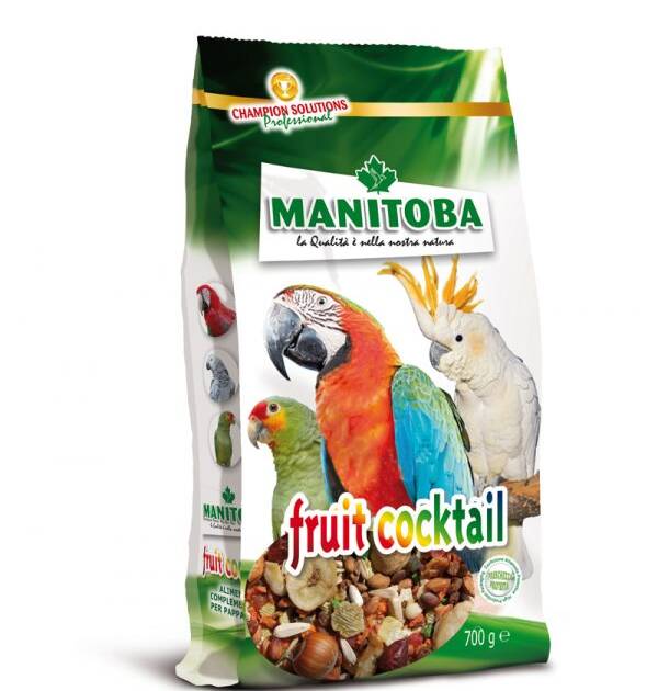 FRUIT COCKTAIL