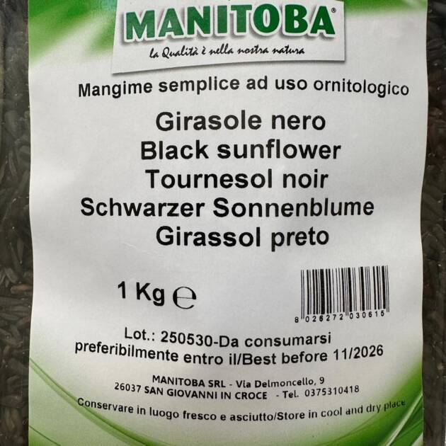 SUNFLOWER BLACK SMALL