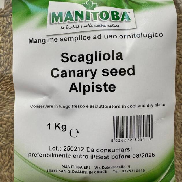CANARYSEED/SCAGLIOLA