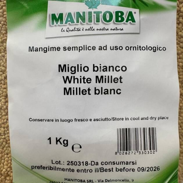 MILLET WHITE