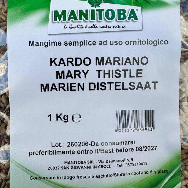 MILKTHISTLE-KARDO MARIANO