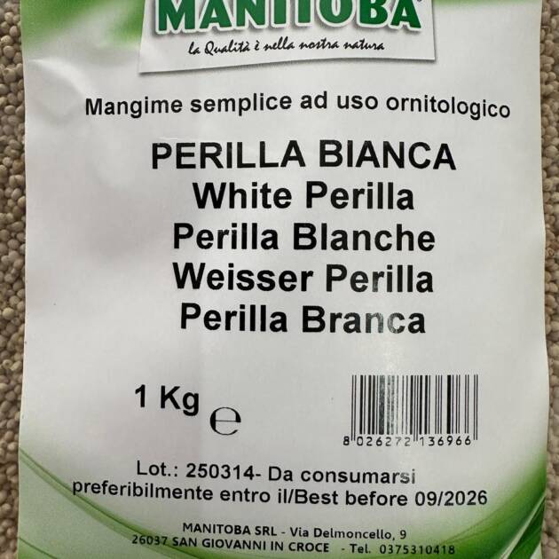 PERILLA WHITE