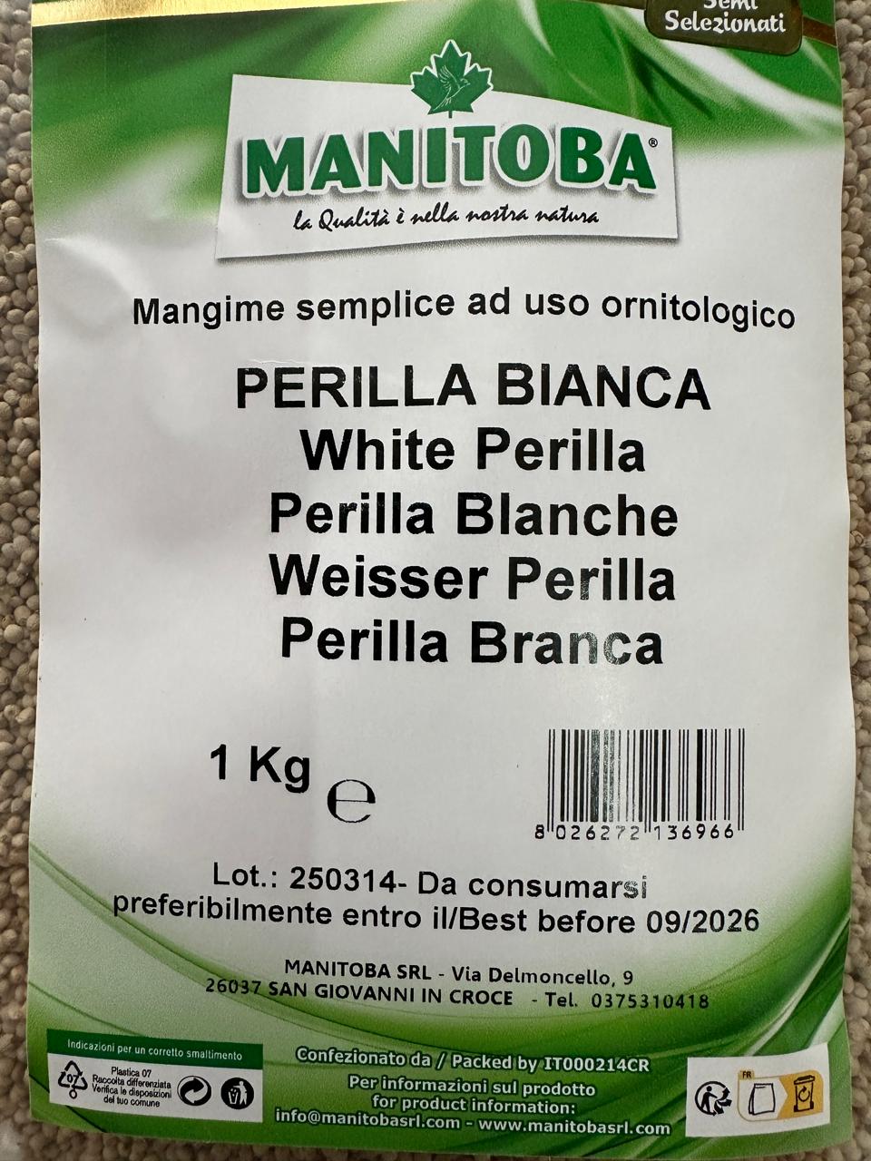 PERILLA WHITE