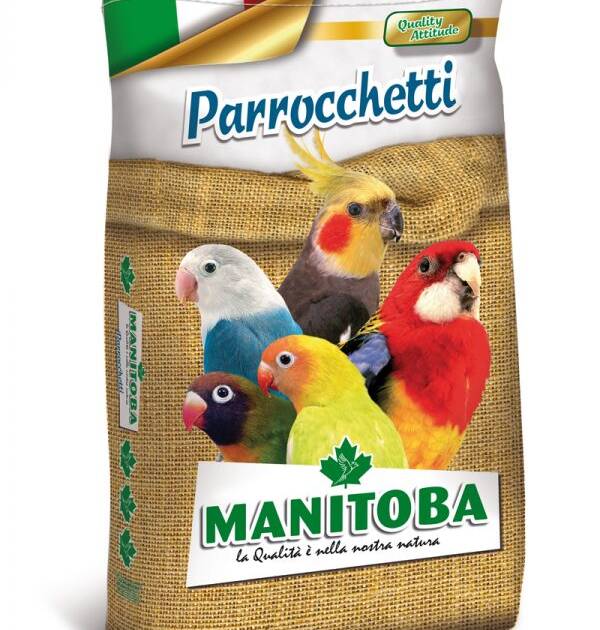 PARROCCHETTI