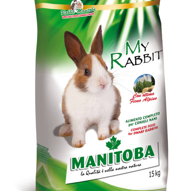 MY RABBIT
