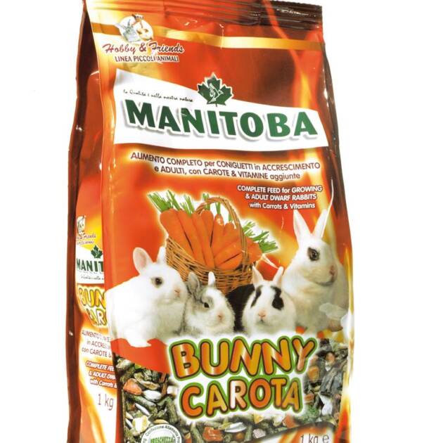 BUNNY CAROTA
