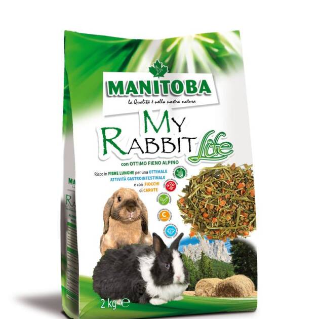 MY RABBIT LIFE