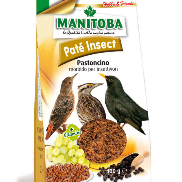 PATE INSECT BROWN