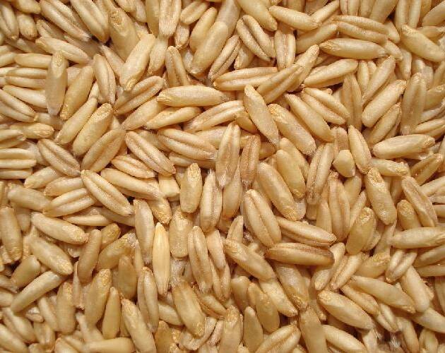 OATS PEELED-BULK