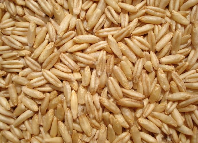 OATS PEELED-BULK