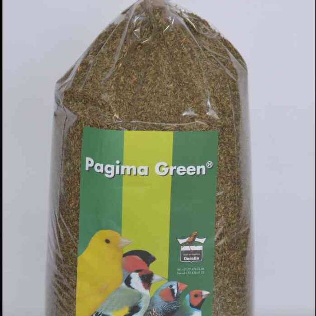 PAGIMA GREEN