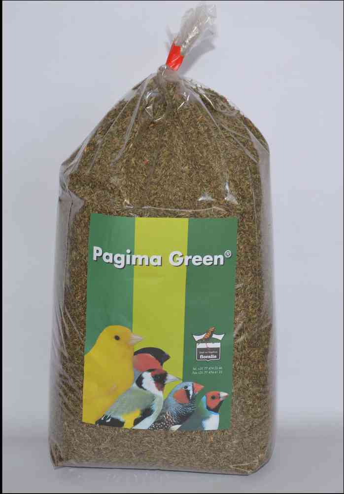 PAGIMA GREEN