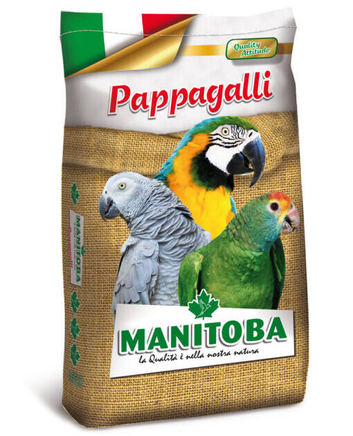 PAPPAGALLI