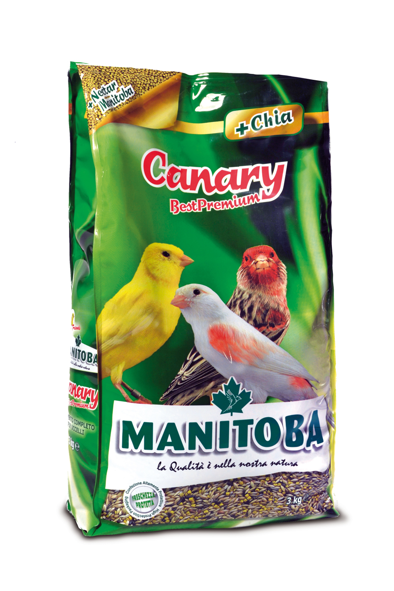 CANARY BEST PREMIUM