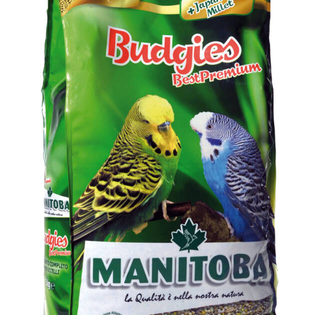 BUDGIES BEST PREMIUM