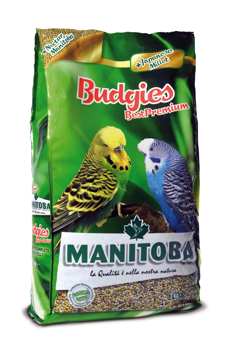 BUDGIES BEST PREMIUM