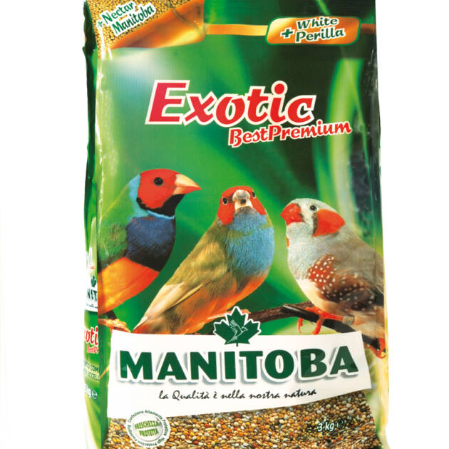 EXOTIC BEST PREMIUM