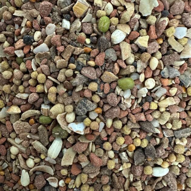 AVIMAX FORTE OLYMPIC MIX GRIT