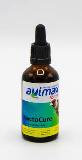 AVIMAX FORTE BACTO CURE