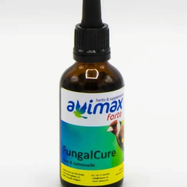 AVIMAX FORTE FUNGAL CURE
